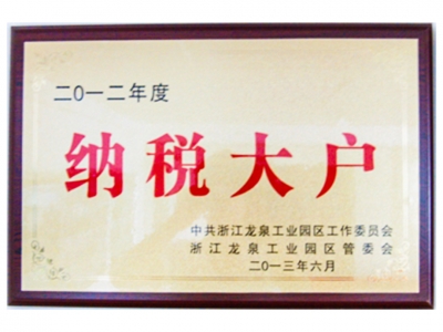 2012年度纳税大户